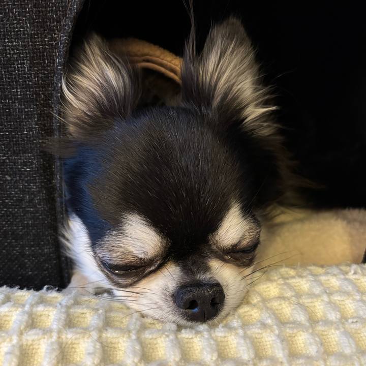 Abe36b9a ac7e 4af4 b240 d25fd92d34b4 1739117191178