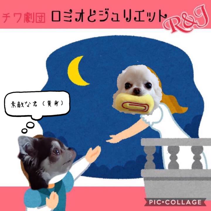 Abe396da 1dda 433f ad25 0be053bc82ef 1598306582128