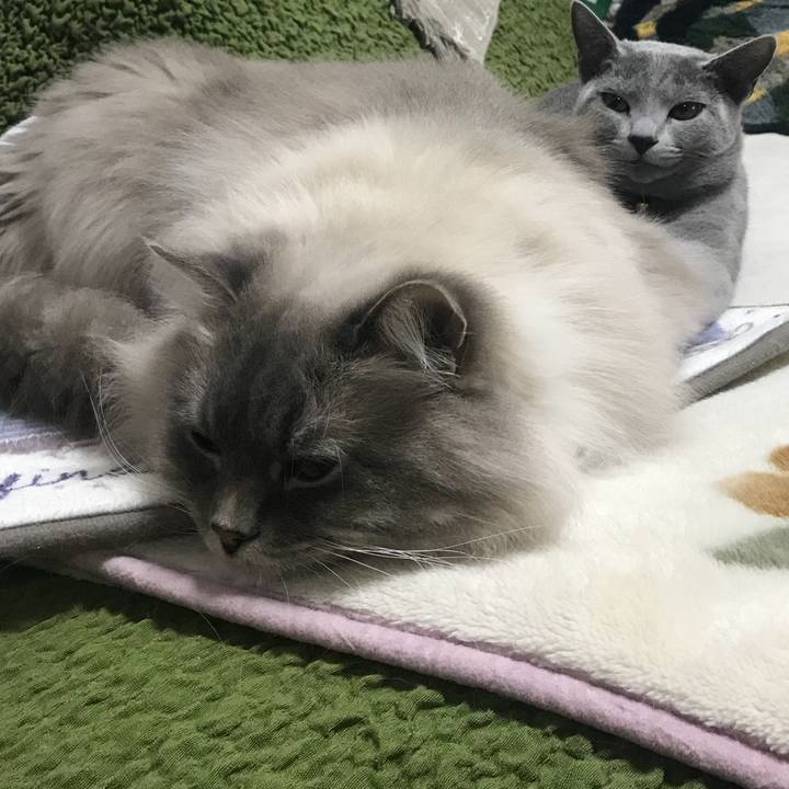 Abe3f761 e940 43b5 83bd 2a1339e1b222 1519221536912