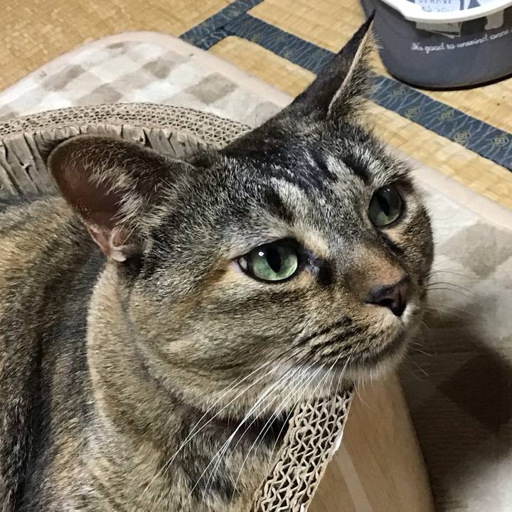 Abe47bc9 1974 4590 a498 d646f4cc65a0 1729930335597