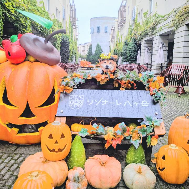 Abe485c2 0b5a 4fc0 ab53 72bb2dd4c5b7 1759720751448