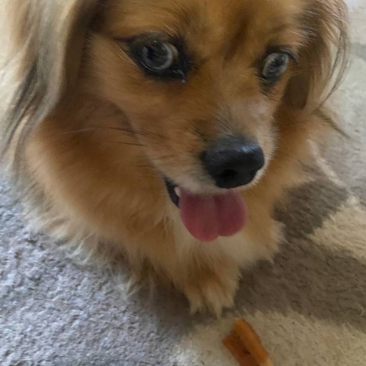 Abe4a72d bd60 4ed4 9a1c 0335cfb733bb 1626814722201