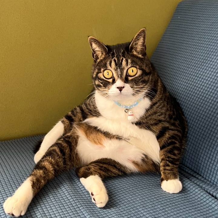 Abe4d4ff 8540 4de8 8e98 63ff48d28fd3 1764803487450