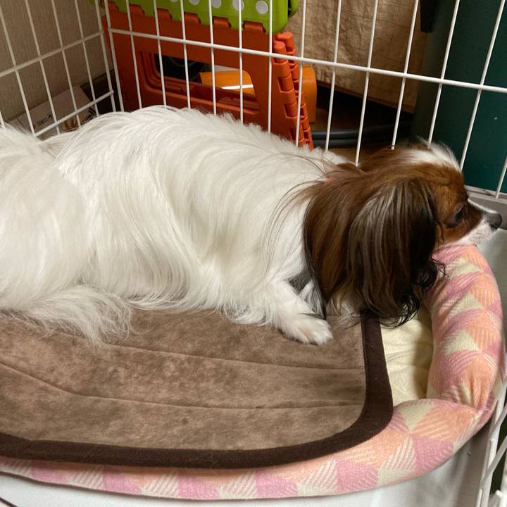 Abe4e879 0f0e 42b3 97ac bbd1cf1135de 1632403374983