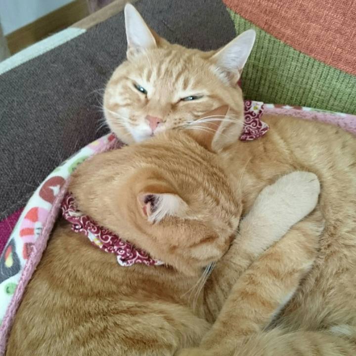 Abe50bf3 5816 41f1 bbcd 69bcdaa64ba0 1560642257987