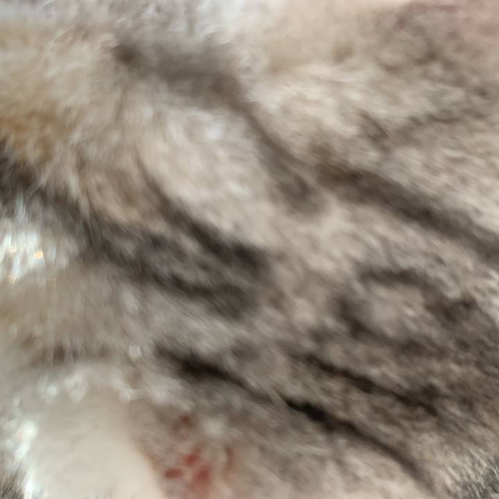 Abe51ac1 4845 4c1a aa73 65eb8d38f2e9 1708213100748