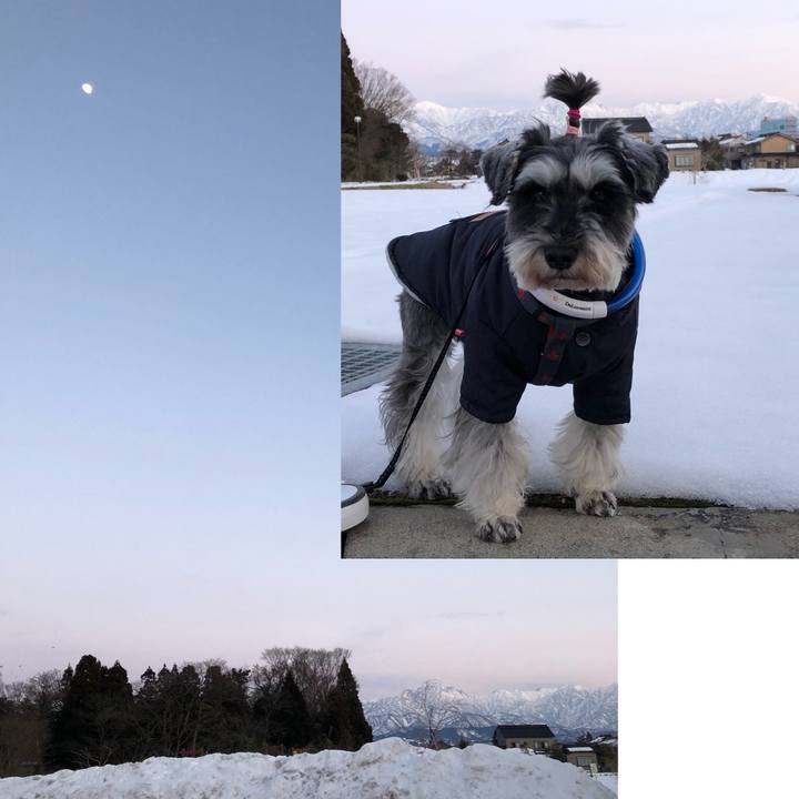 Abe53ad8 15ec 4ae6 9315 378b18e85473 1644667221517