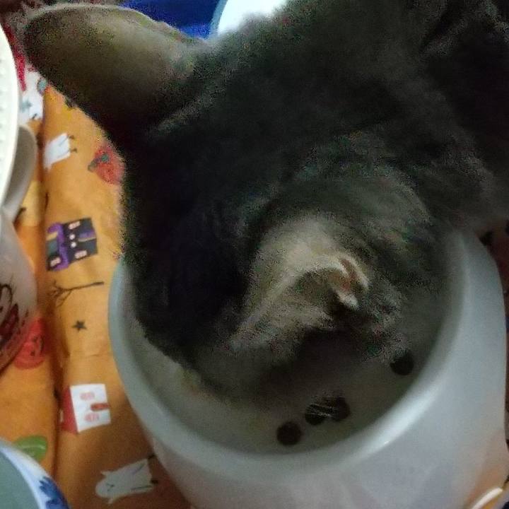 Abe54754 709e 4bb5 b882 c3eb6aa9c686 1698922673176