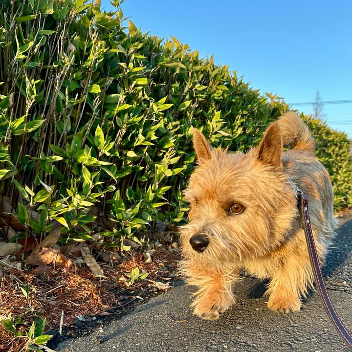 Abe5599f eabe 48a4 be2f cd860f83855f 1742594905757