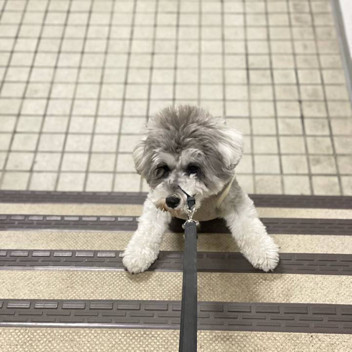 Abe56c0e ccff 4ffa 95bf efbd507c5863 1607335008923