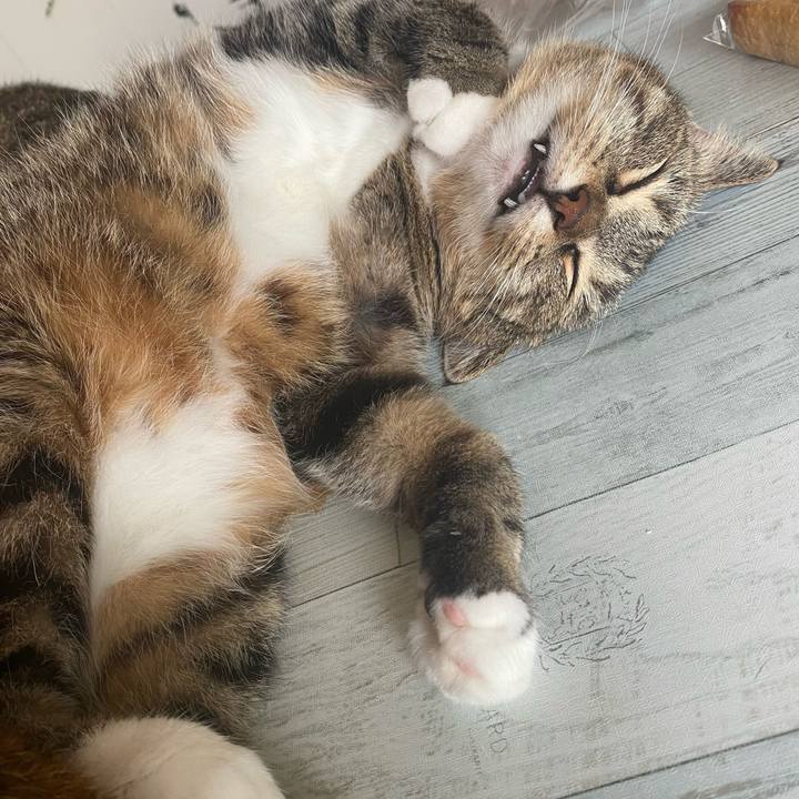 Abe575cd 959c 4377 8bd6 c580e085a287 1628320202452