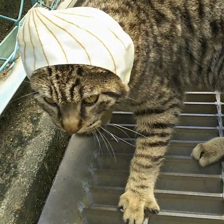 Abe599ef 0084 4525 87b7 31398150d746 1556763758332