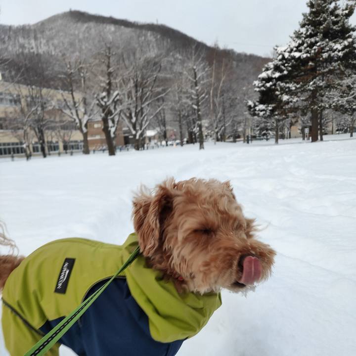 Abe59f05 d5db 4e2a a45a 1f97044ff72b 1580857142757