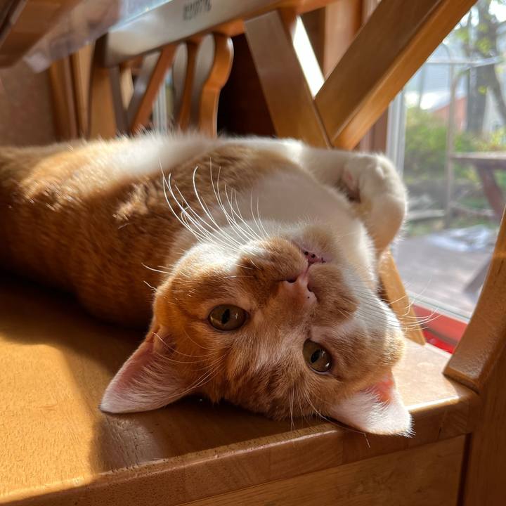 Abe5b02b 6df5 4f8f 9a9c 1946d2bcaed8 1684364332960