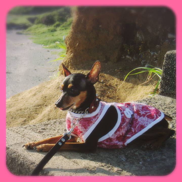 Abe61ccd d1f8 4766 a533 4c8825e558c4 1753793637269