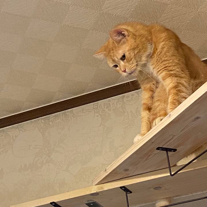 Abe6507b 754b 4ea9 a9e4 7f0f7829a148 1602986426282