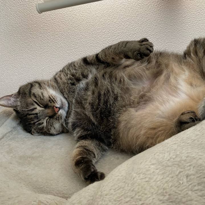 Abe69353 d8aa 42d7 b30d 37e5f6d4fac9 1744097692969