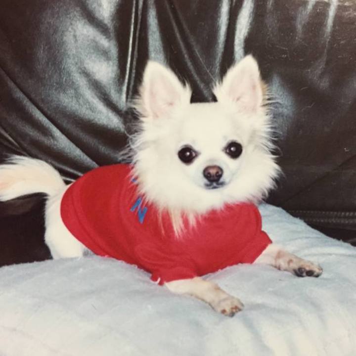 Abe6a56a 02d6 4784 a8e6 63636c31002e 1658974630567