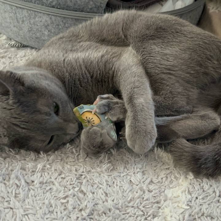 Abe6badd 7c73 4ed9 9bee 7b47a55c93b4 1738906013241