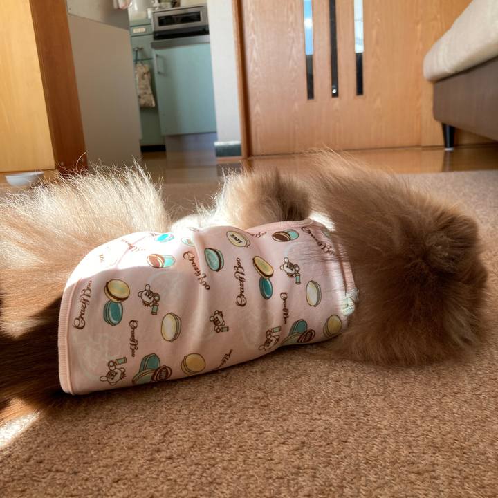 Abe6bf99 8025 4d23 942e fee0d12c74bd 1735264720853