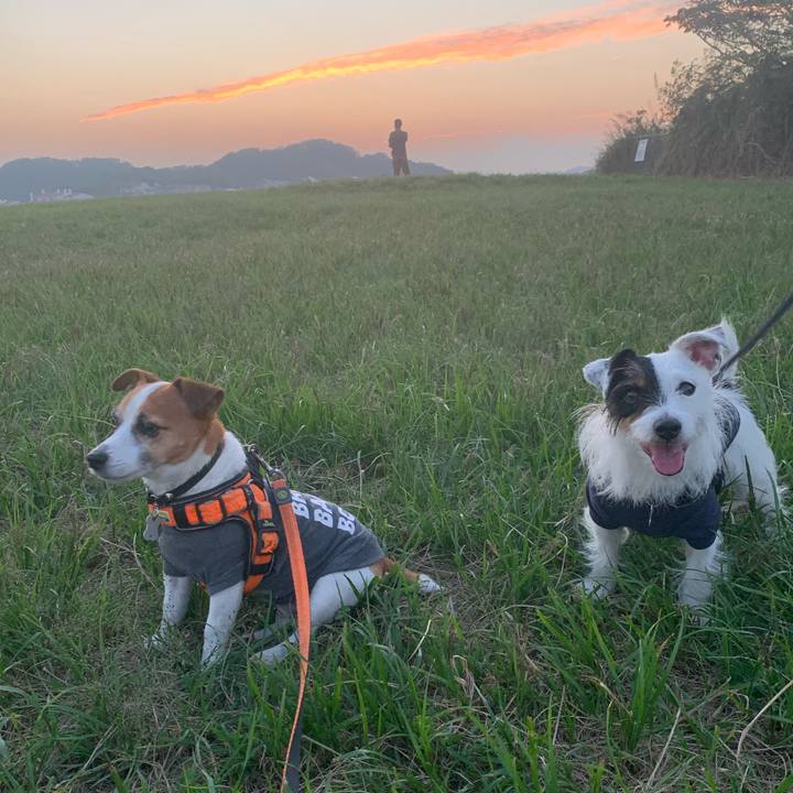 Abe6cccc 7541 41a8 b16e 54ad66fef3a6 1601889566754