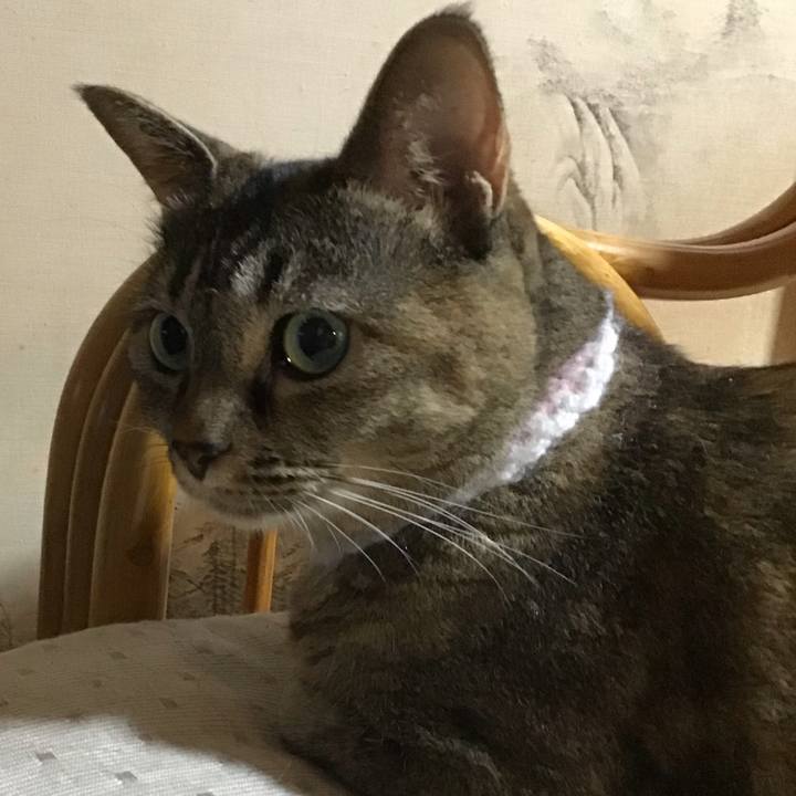 Abe6dae4 3613 4dd2 9ade 3a7e3838bf11 1755603016663