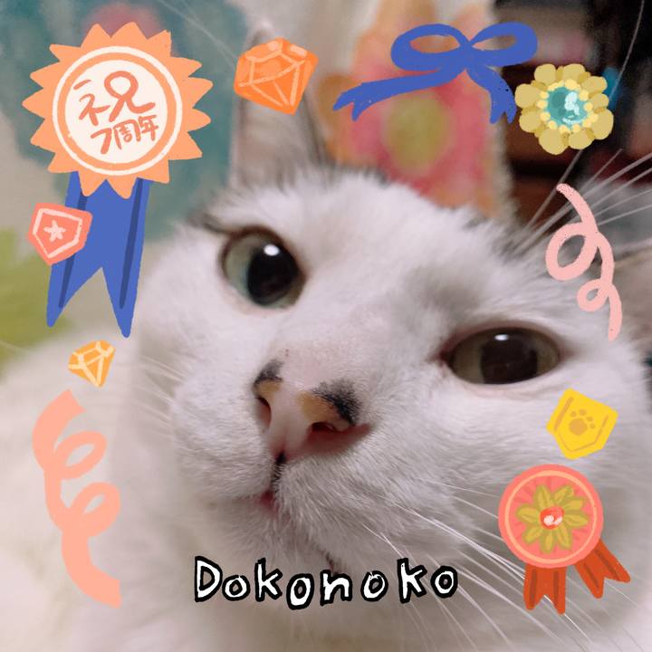 Abe6ef0c efde 4882 a961 3e76cfba517b 1685970032577