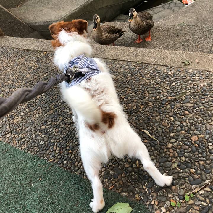 Abe7446d 6d97 45d2 92cd 813ec6309afd 1543533812597