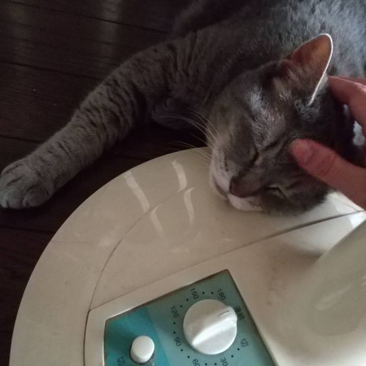 Abe77e50 4ce0 433c 909f 9ab8e92a35f1 1656987303390