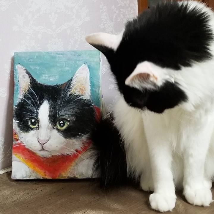 Abe7a3fc 2d24 4637 a473 b44f68dd6093 1584709591981