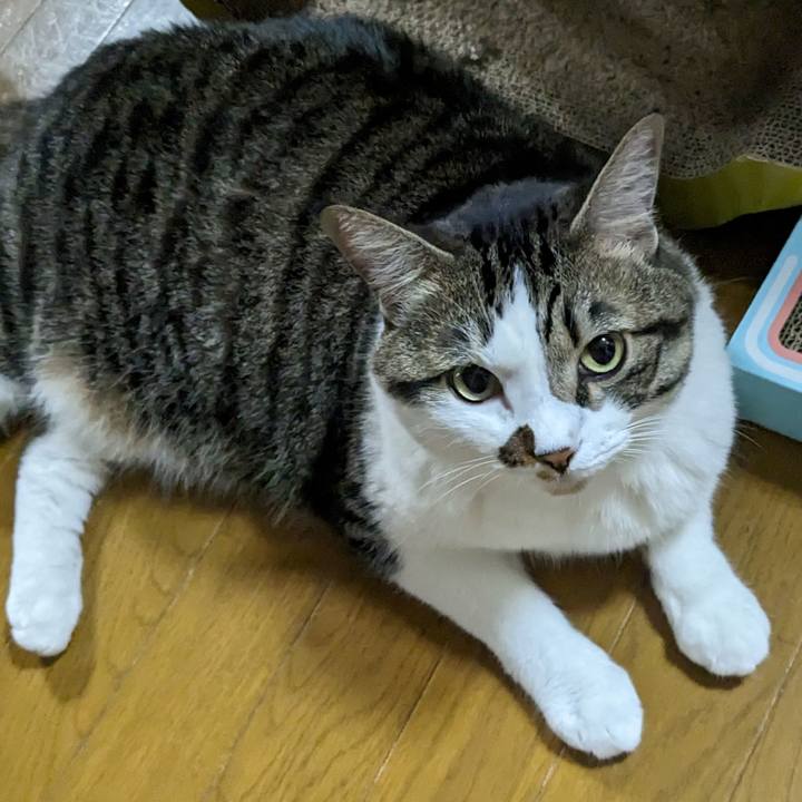 Abe7c2c3 8b67 4a85 8a25 b30128a8329d 1694386906219