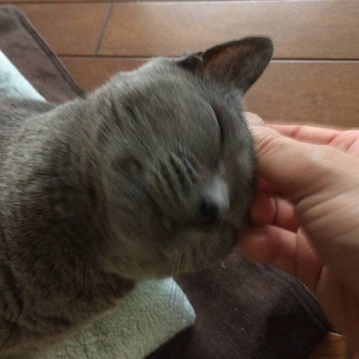 Abe822ba 5481 43b0 af8a 57be21ae24d4 1527627587088