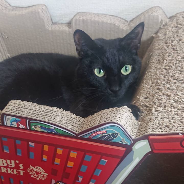 Abe834ac 7806 4b12 ae93 ca7200957ed5 1678928832141