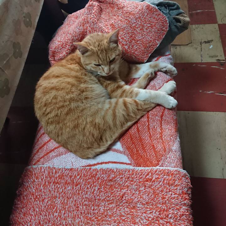 Abe83c3e e420 4811 8fbd a10e71ebbf2b 1588143547572