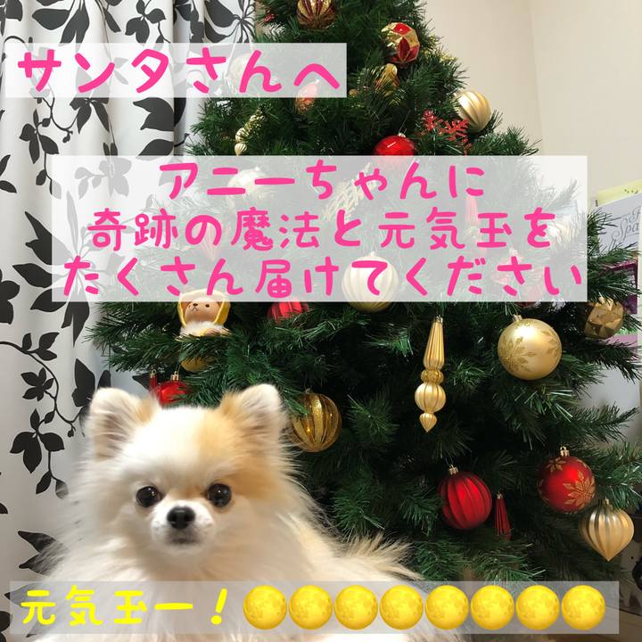 Abe8467a d764 4db4 bd7a d5fa088d1c78 1544833412988
