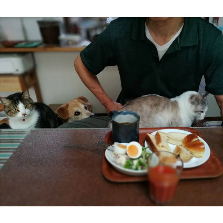 Abe85f51 5d53 4e42 b195 fb12efbf37b7 1558043195447