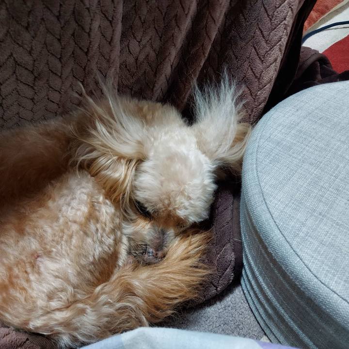 Abe870b4 5047 4a9a 949e 1618415cb3c8 1742293113147