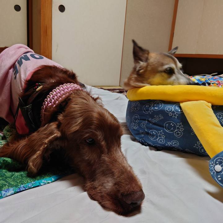 Abe8a071 bde4 4d10 a95b eac562a1f72d 1651661795337