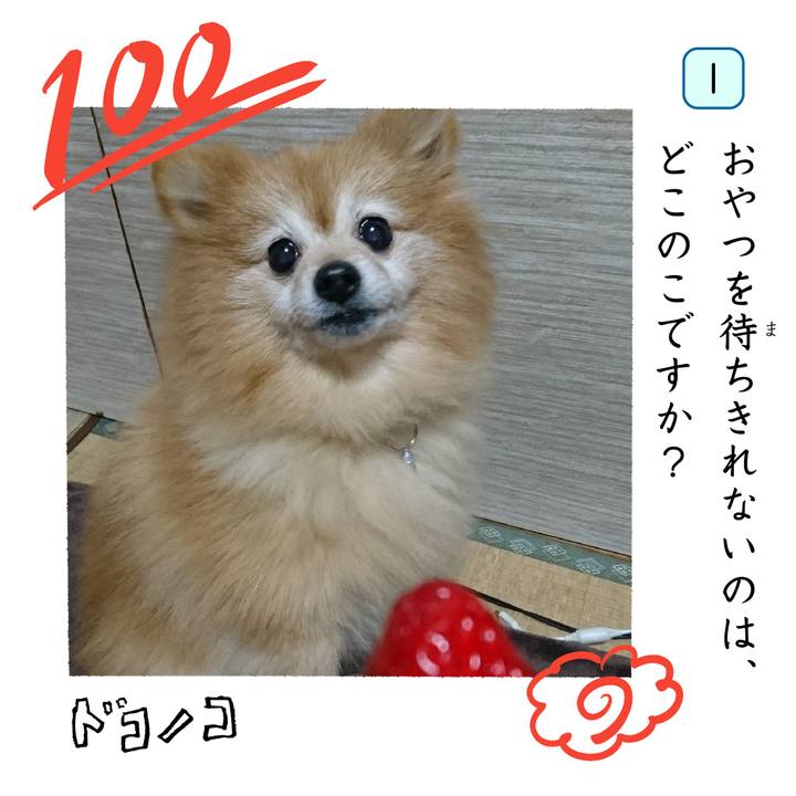 Abe8bdf0 20f8 4f96 b24f 8bb4cb438dcf 1744490840871