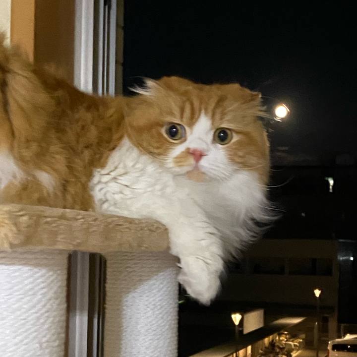 Abe8d674 cc86 4889 bd9d 770fa748fd4a 1632219565194