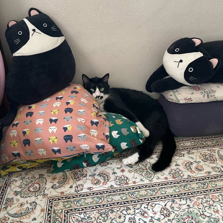 Abe8ece9 ae33 4a93 bdc3 0157b7723f98 1752013185903