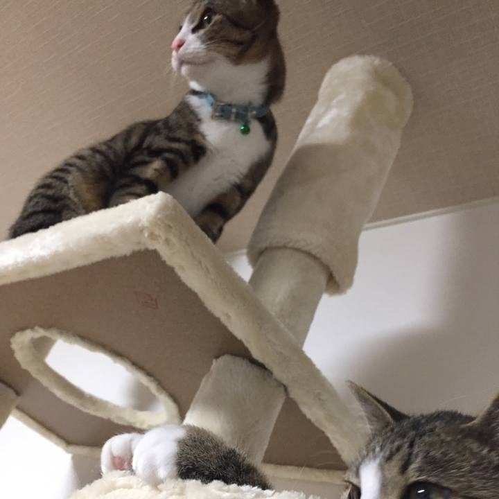 Abe9048c 8ca8 4a68 955b fc4186585aac 1659053894130