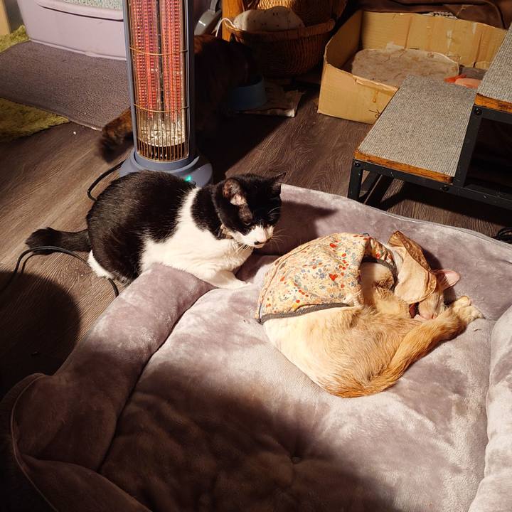 Abe92d6f 66cf 4153 8613 03b68287a5de 1771067930448