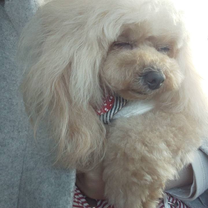 Abe94283 e852 4a26 8eab cefdad132804 1647931369016