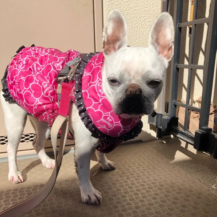 Abe94fff 2389 40c0 9d0a 0b0c1d3f0dd1 1676093250720