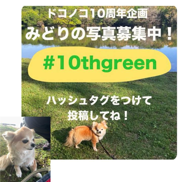 Abe966da a936 4b75 ad8a 2c03e6364d0b 1778188702574