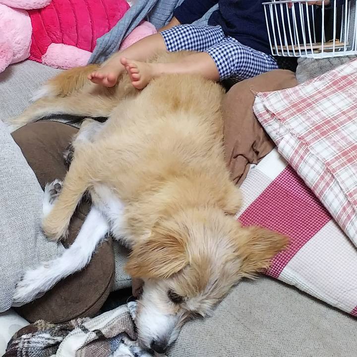 Abe97477 901d 415b a416 59468fbc4e92 1539415212356