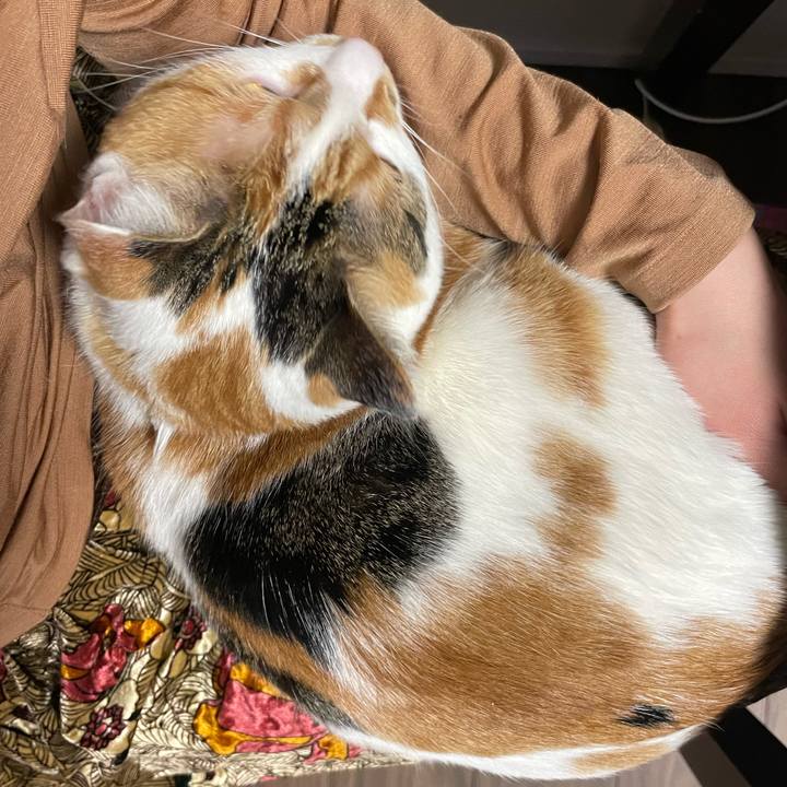 Abe99e75 dd4f 4c2f 9d49 ff94f9e2e433 1647681910907