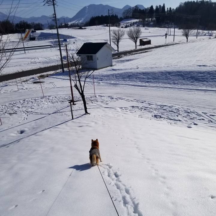 Abe99efa ebe8 4b64 88a1 513494c4e953 1640320108892