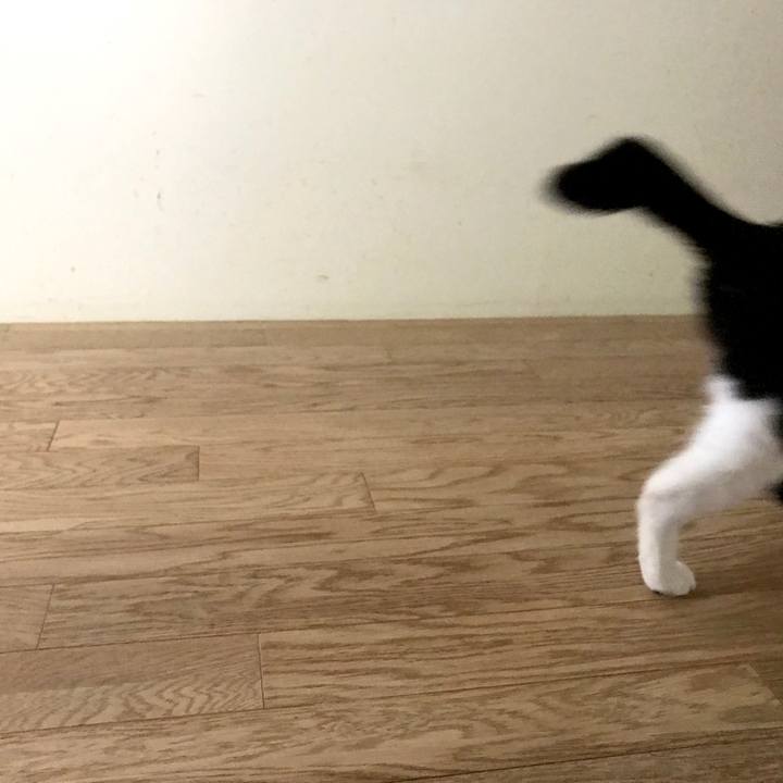 Abe9a3c8 d6af 4b67 a06c 0f281741d632 1572481691776